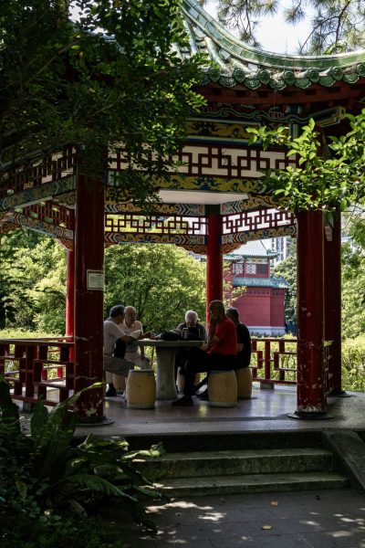 elderly group enjoying wellness drum circle